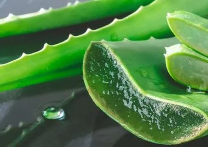 5 استعمالات تجميلية للألوفيرا