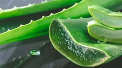5 استعمالات تجميلية للألوفيرا