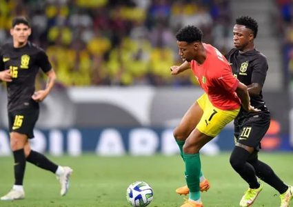 البرازيل تفوز على غينيا ودياً