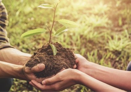 التميمي تستعرض مع وفد من البنك الدولي التقدم في التقرير الوطني للمناخ والتنمية