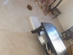 الاحتلال يعبث بمحتويات منزل المحرر عاصم أبو الهيجا بعد اعتقاله في جنين، فجر اليوم"