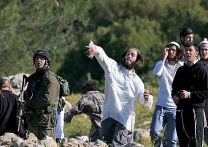 مصر تطالب بالوقف الفوري لاعتداءات المستوطنين