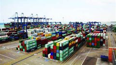 السعودية:استقبال أكثر من 1.7 مليون رأس ماشية لإحياء شعيرة النحر في الحج