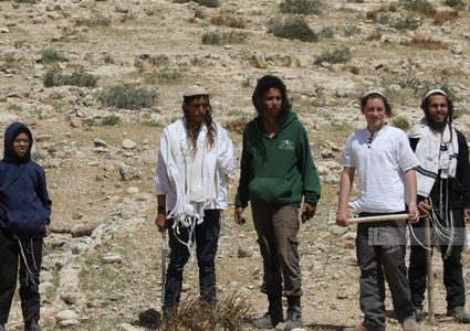 مستوطنون يجددون هجومهم على بلدة برقة شمال غرب نابلس