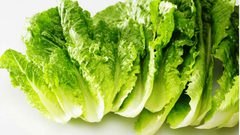 تناول الأنسولين النباتي المشتق من الخس عن طريق الفم