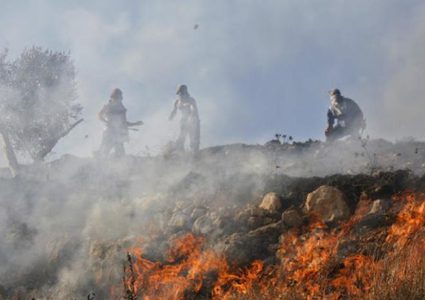 مستوطنون يحرقون محاصيل زراعية بمسافر يطا جنوب الخليل