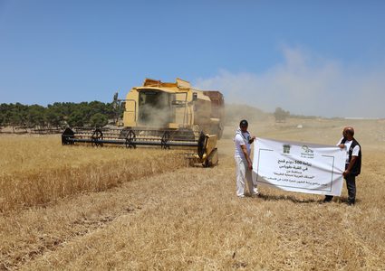 "العربية لحماية الطبيعة" تختتم مشروع "قمح الصمود" في طوباس