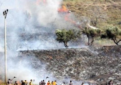 مستوطنون يحرقون محاصيل زراعية في ترمسعيا شمال رام الله