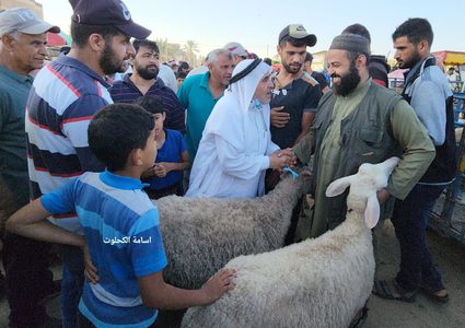 وسط إقبال كبير.. جولة في "سوق الحلال" بالبريج استعدادا لعيد الأضحى