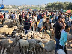 وسط إقبال كبير.. جولة في "سوق الحلال" بالبريج استعدادا لعيد الأضحى