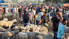 جولة في "سوق الحلال" بالبريج استعدادا لعيد الأضحى