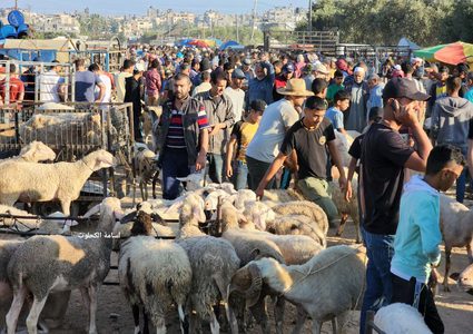 جولة في "سوق الحلال" بالبريج استعدادا لعيد الأضحى
