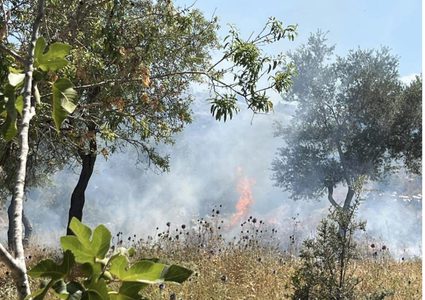 مستوطنون يهاجمون قرية دورا القرع