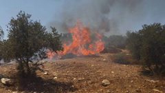 مستوطنون يحرقون أشجارا ويخربون ممتلكات متنزه في قراوة بني حسان