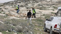 مستوطنون يقتلعون أشجارا ويتلفون محاصيل زراعية جنوب بيت لحم