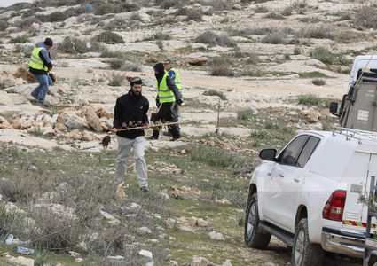 مستوطنون يقتلعون أشجارا ويتلفون محاصيل زراعية جنوب بيت لحم