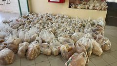 إقبال كبير على حملة "فزعة جبل النار" لإسناد جنين ومخيمها