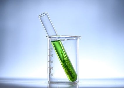 10 فوائد صحية عند تناول هذا النوع من الطحالب