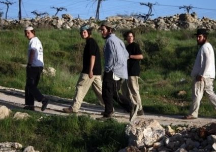 تجمع للمستوطنين عند مدخل قرية فصايل شمال أريحا