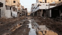 لجنة المبادرة الوطنية تزور مخيم جنين وتطلع على احتياجاته