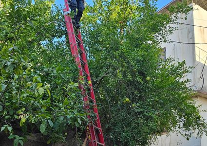 كهرباء الشمال تؤكد عودة الكهرباء إلى جميع منازل أهالي مخيم جنين