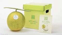 شركة يابانية تطور فاكهة جديدة تسميها "بطيخ الليمون"