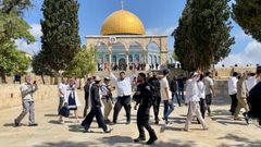 مستوطنون يقتحمون المسجد الأقصى