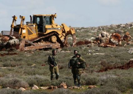 الاحتلال يجرف أراضي ويقتلع عشرات أشجار الزيتون شمال سلفيت