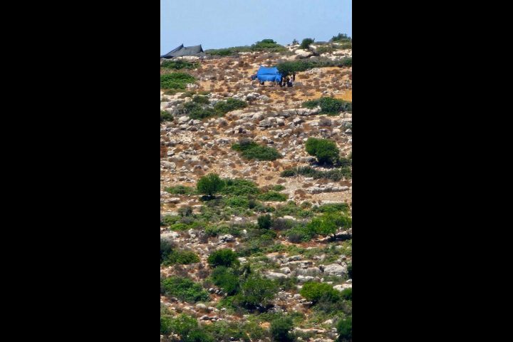 للمرة الثالثة... مستوطنون ينصبون خياما غرب سلفيت