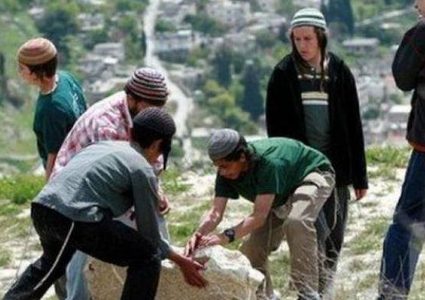 مستوطنون يزرعون الأشجار في الأغوار الشمالية