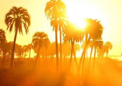 القبة الحرارية تضرب 7 بلدان عربية من بينها فلسطين