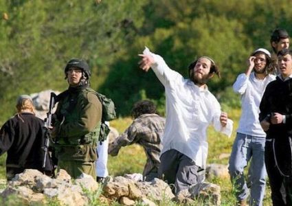 مستوطنون يهاجمون منزلا في سبسطية شمال غرب نابلس