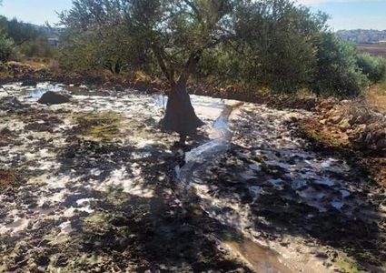 مستطونون يضخون مياه عادمة في مياه نحالين