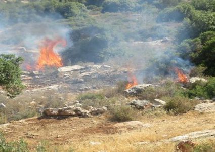 مستوطنون يضرمون النيران في أراضي بورين جنوب نابلس