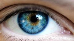 دراسة: الإدراك المعرفي مرتبط بشكل مباشر بصحة العين