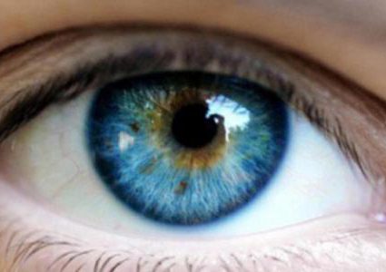 دراسة: الإدراك المعرفي مرتبط بشكل مباشر بصحة العين