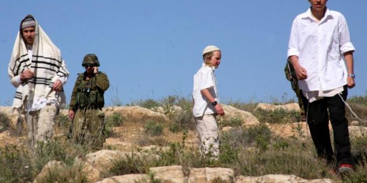 مستوطنون يسرقون خياما من أراضي بيت فوريك شرق نابلس