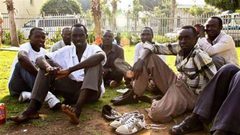 مستشار السيسي يرد على نقل السودانيين لمرض "حمى الضنك" لمصر