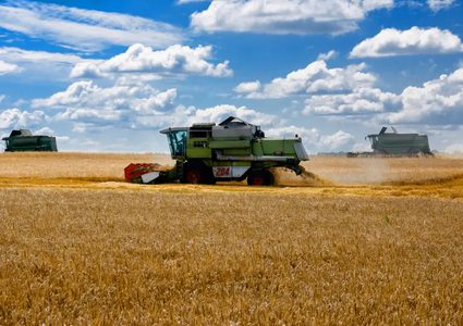 روسيا تدرس أي خيارات لمواصلة إمدادات الحبوب إلى الأسواق العالمية