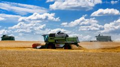 روسيا تدرس أي خيارات لمواصلة إمدادات الحبوب إلى الأسواق العالمية