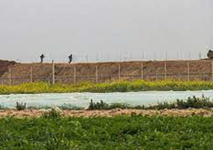 قوات الاحتلال تستهدف أراضي المزارعين جنوب القطاع
