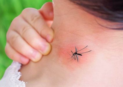 الصحة العالمية تحذر من تفشي حمى الضنك