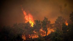 اليونان.. إجلاء 30 ألف شخص عن جزيرة رودوس جراء حرائق الغابات