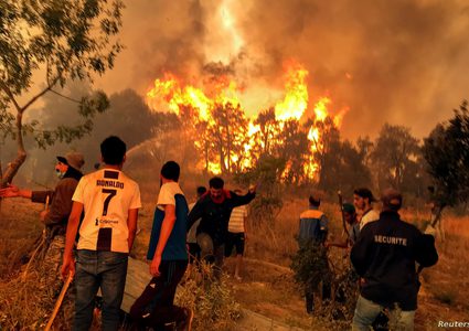 مصرع 15 شخصا في حرائق غابات شمال الجزائر