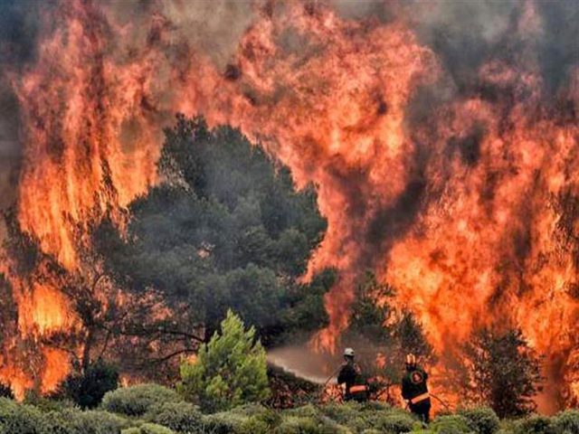 استمرار جهود فرق الإطفاء في اليونان وتركيا للسيطرة على حرائق الغابات