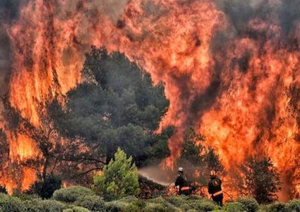 استمرار جهود فرق الإطفاء في اليونان وتركيا للسيطرة على حرائق الغابات