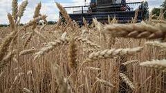 موسكو: نحن مستعدون لاستئناف العمل بصفقة الحبوب بشرط تنفيذ الجزء الروسي منها