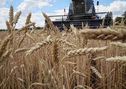 موسكو: نحن مستعدون لاستئناف العمل بصفقة الحبوب بشرط تنفيذ الجزء الروسي منها