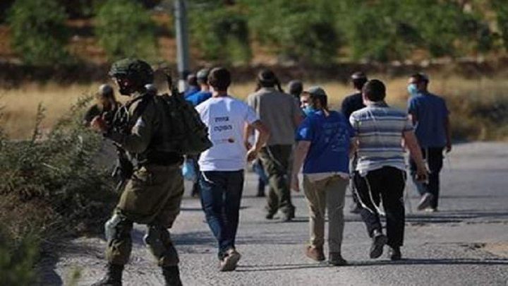 مستوطنون يهاجمون عصيرة القبلية جنوب نابلس