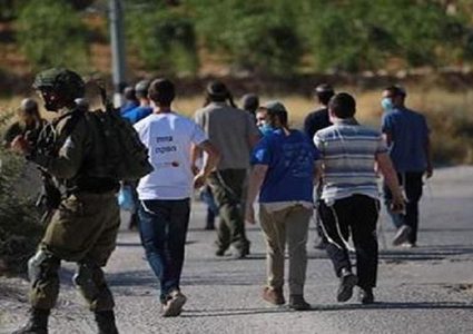 مستوطنون يهاجمون عصيرة القبلية جنوب نابلس